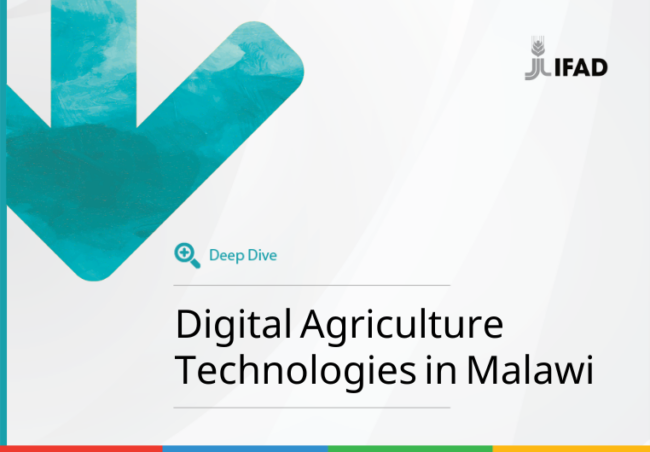 Thumb-Ag-Tech-Deep-Dive-Malawi Cover for Ag Tech Deep Dive Malawi