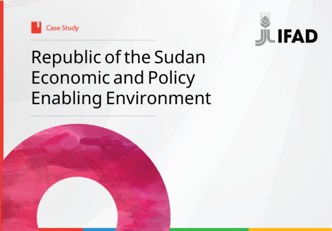 Thumb-Sudan-Case-Study Cover image Sudan case study